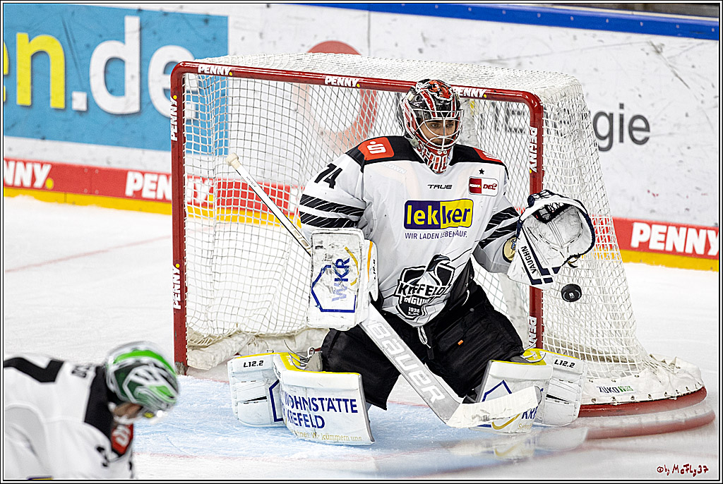 PENNY DEL;  Koelner Haie - Krefeld Pinguine; Koeln, 31.10.2021